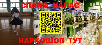 прущие грибы Ижевск