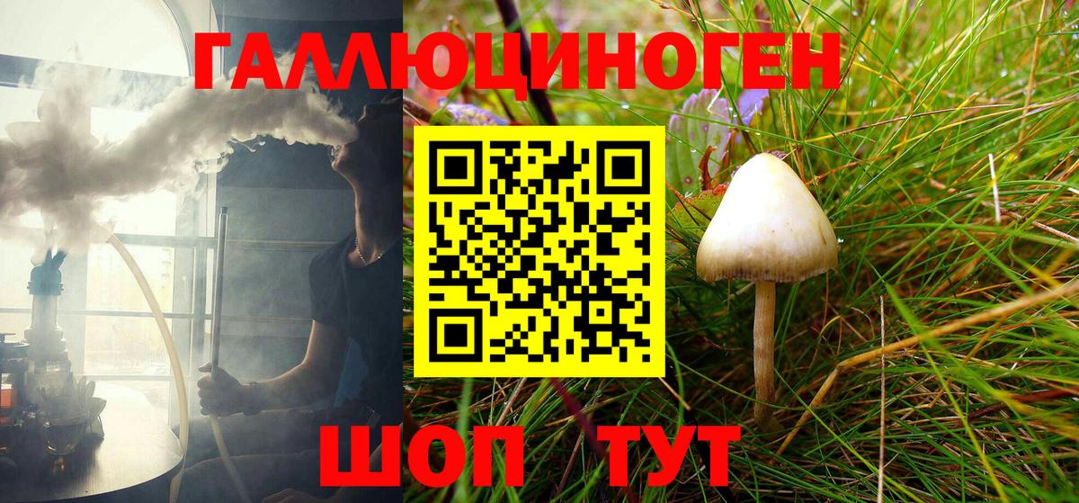 Галлюциногенные грибы Psilocybine cubensis Барнаул